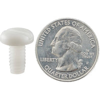 Load image into Gallery viewer, Cataract Counterweight Set Screw next to a quarter
