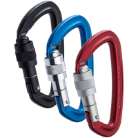 Load image into Gallery viewer, NRS Sliq Screw Lock Carabiner
