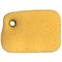 Load image into Gallery viewer, Boat Sponge with grommet
